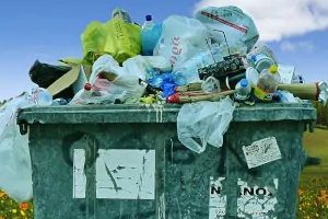 Trash disposal Bay Area